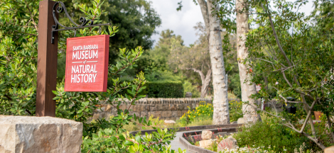 Museum and Sea Center Closing Early