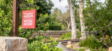 Museum Closed for Santa Barbara Fall Tasting Festival