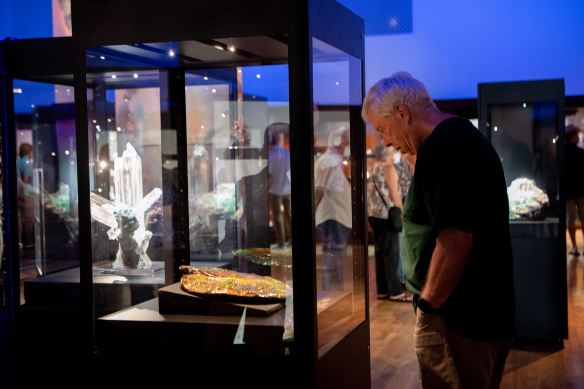 Rare Earth | Santa Barbara Museum of Natural History