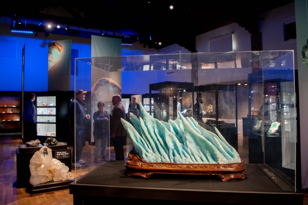 Rare Earth | Santa Barbara Museum of Natural History