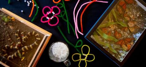 Members Only: Spring Family Festival