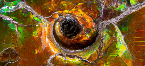 Geoscience for Everyone Day: National Earth Science Week