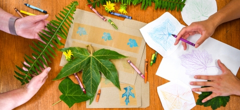 Art Meets Nature: All-Ages Activity