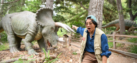 Dinosaur Safari