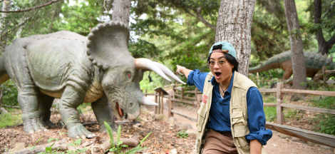 Dinosaur Safari