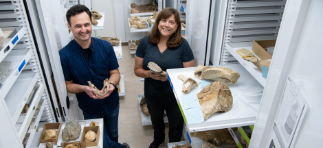 Document Fossils: WeDigBio at the Museum