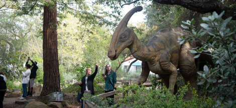 Prehistoric Forest Closed for Private Event