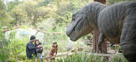 Free Admission at the Museum: SoCal Museums Free-For-All