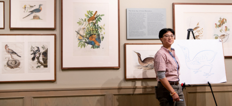 The Art of Science: Drawing Natural History