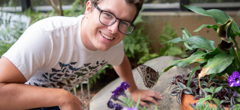Cocktails with a Curator: Insect Collecting & Curating