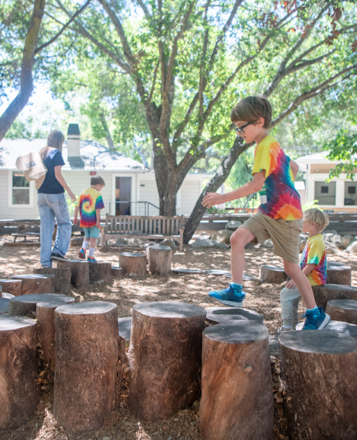 Children jumping along a circle of stumps in the wooded, sunny Backyard at the Museum
