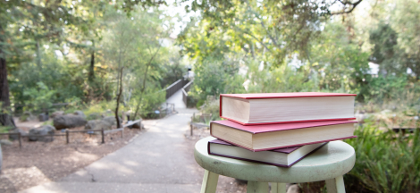 Poetry in the Bowl: An Afternoon with Crystal AC Salas & Catherine Abbey Hodges