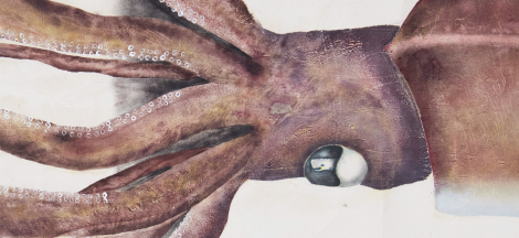The Living Print Opens to the Public