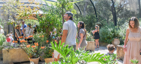 Butterfly Pavilion Closing Early Today