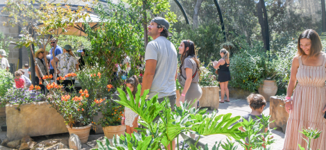 Butterfly Pavilion Closing Early Today