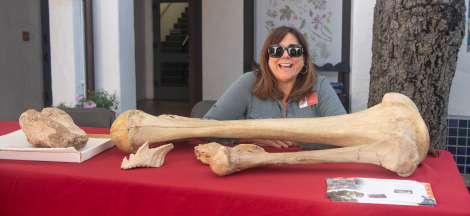 National Fossil Day: National Earth Science Week