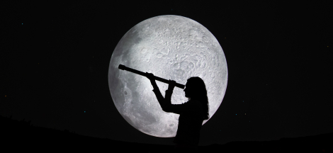 The Lunar Surface & Apollo: Astronomy After Hours for Members