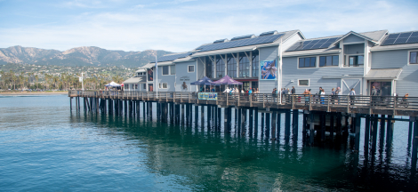 Dive In Closed at Sea Center