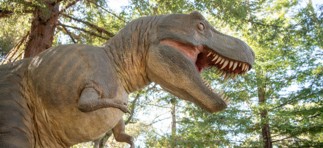 Prehistoric Forest Closing Early Today
