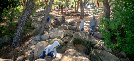 Backyard Closing Early