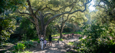 Museum Backyard & Nature Center Open