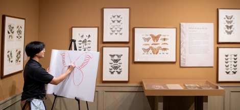 The Art of  Science: Drawing Butterflies & Moths