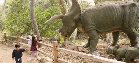 Spring Family Festival for Members