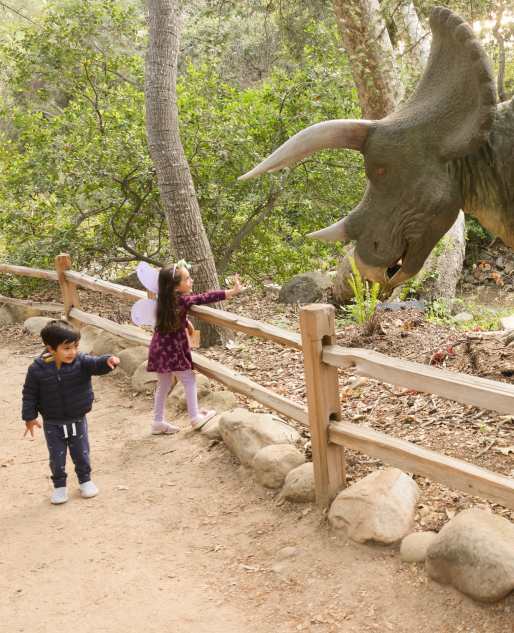 Members Spring Family Festival