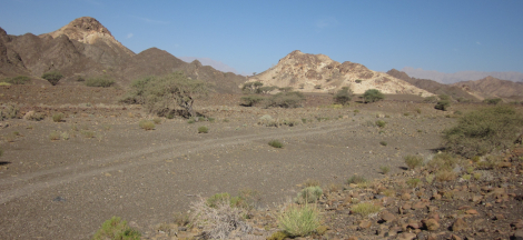 Science Pub: Ophiolites & Plate Tectonics