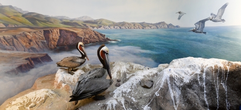 Bird Diversity and Bird Habitat Halls Closed