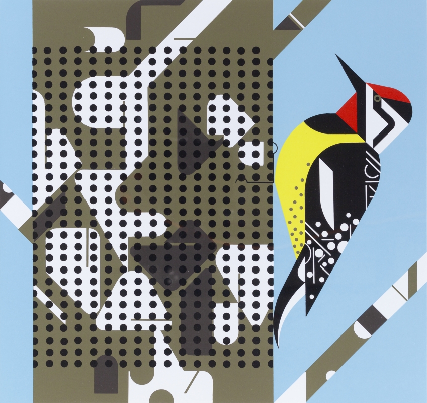 Curious by Nature Santa Barbara Museum of Natural History