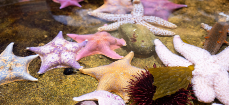 Member Appreciation Month Begins