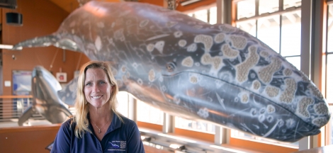 Science Pub: Whales in the Santa Barbara Channel