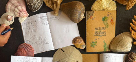 Winter Break Camps Begin