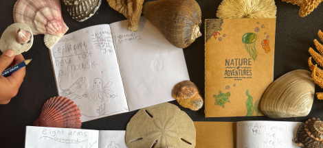 Winter After-school Camps Begin