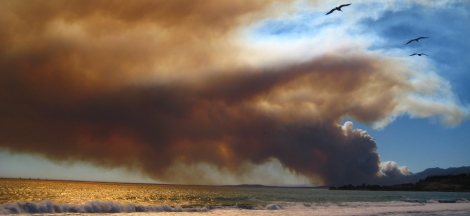 Science Pub From Home: Supporting Fire Agencies and Public Safety