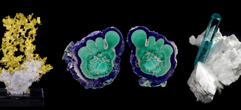 Science Pub: Beauty, Value, and Art in Nature