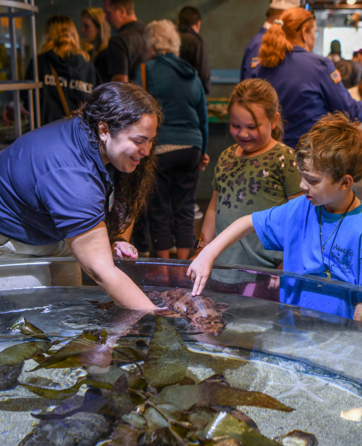 Volunteer at the Sea Center