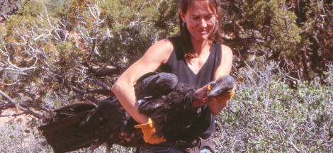 Wild Work: Adventures of Women Field Biologists