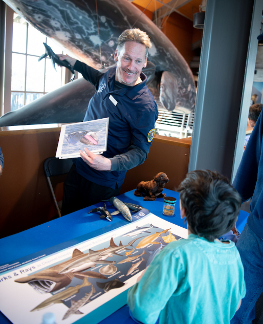 Channel Island Naturalist Corps volunteer Joe Morgan educates a guest about whale ecology during Underwater Parks Day at the Sea Center.