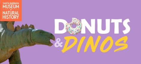 Donuts and Dinos