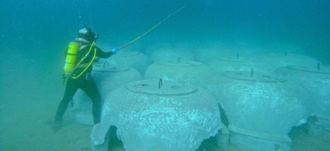 Science Pub: Restoring Coastal Kelp Forests