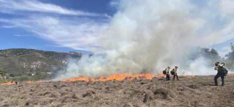 Science Pub: Fire – History, Science and Practice