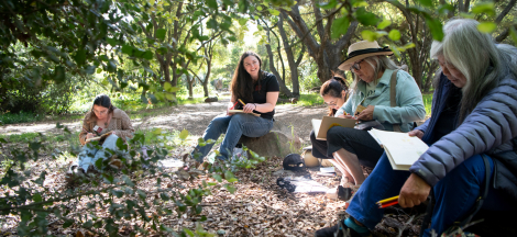 Pollinator Nature Journaling Workshop