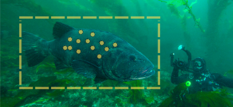 Science Pub: Sea Bass, Selfies & Science