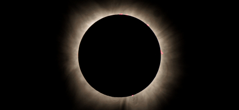 Solar Eclipse Livestream Watch Party