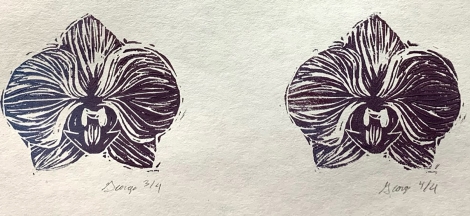 Online Workshop: Art Meets Science – Block Printing Botanicals