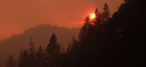 Science Pub: Building Wildfire Resilience